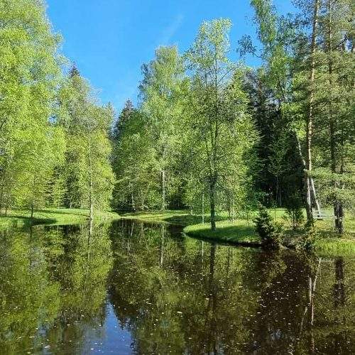 Photo #9078016
