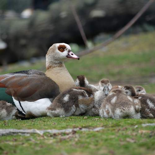 Family Time