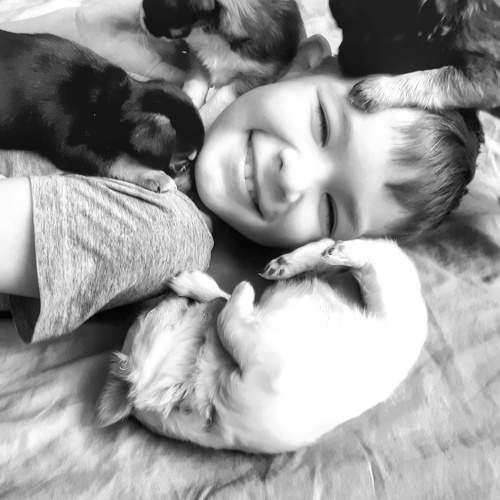 Photo #9078688