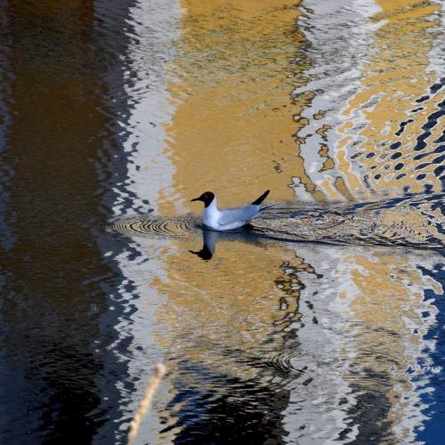 Photo #9078859