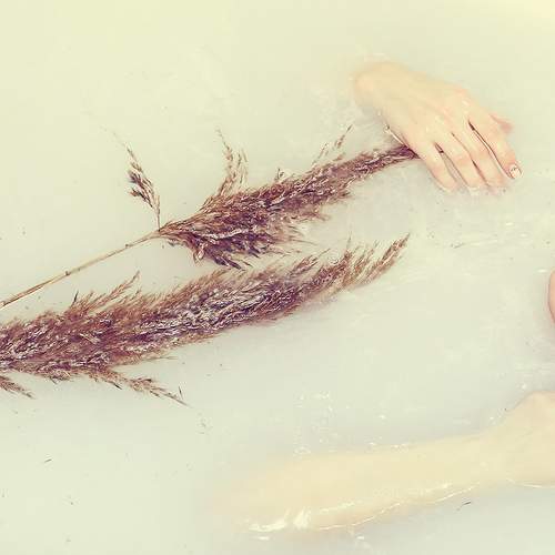Photo #9079985