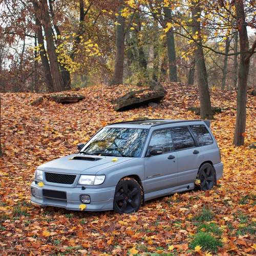 Photo #9080046