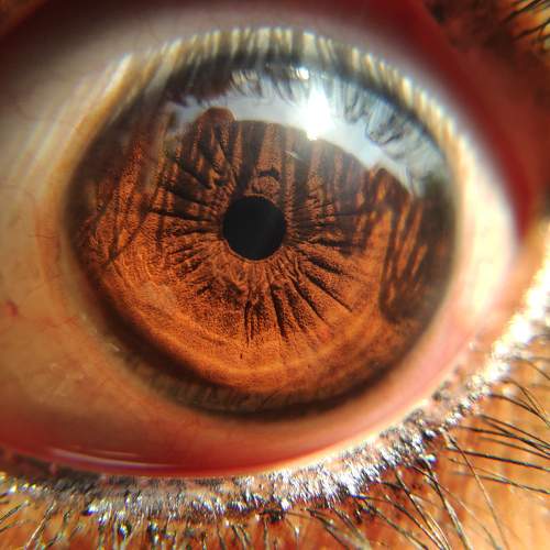 Photo #9080474