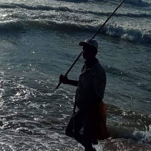 Photo #9080573