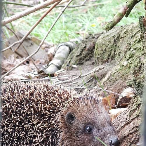 Photo #9080954