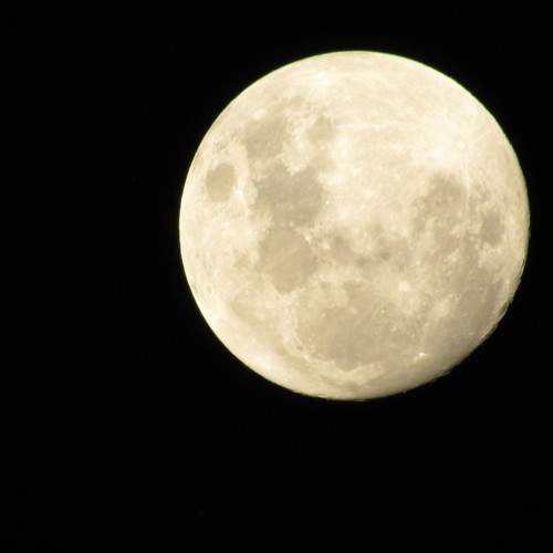 Photo #9081119