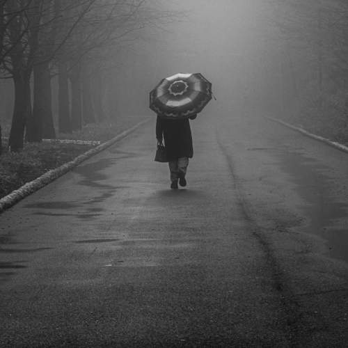Фотография #9081360