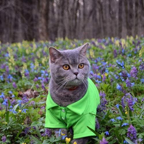 Photo #9081576