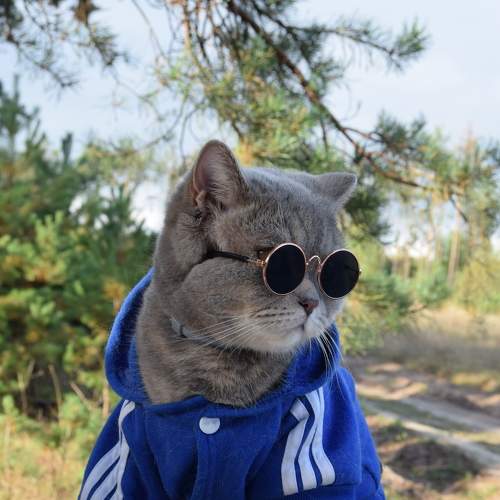 Photo #9081578