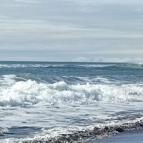 Photo #9082570