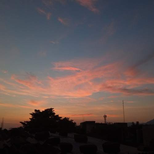 Photo #9082847