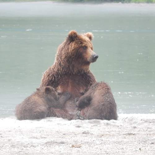 Photo #9082971