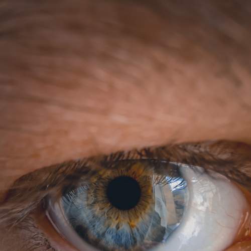 Photo #9083729