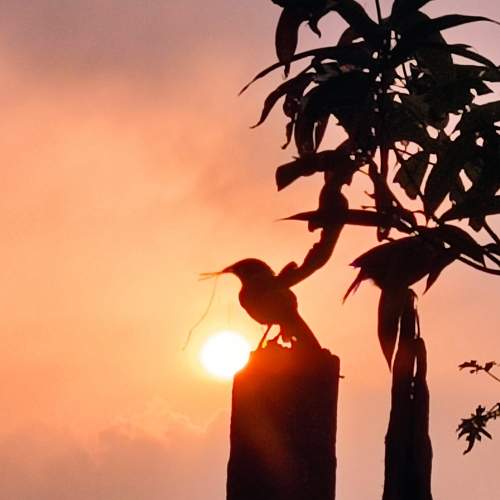 Photo #9084146