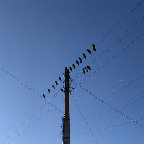 Photo #9084150