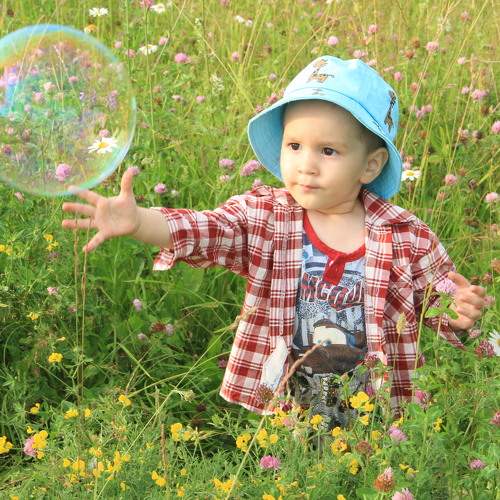 Photo #9084195