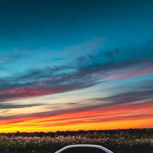 Photo #9084368