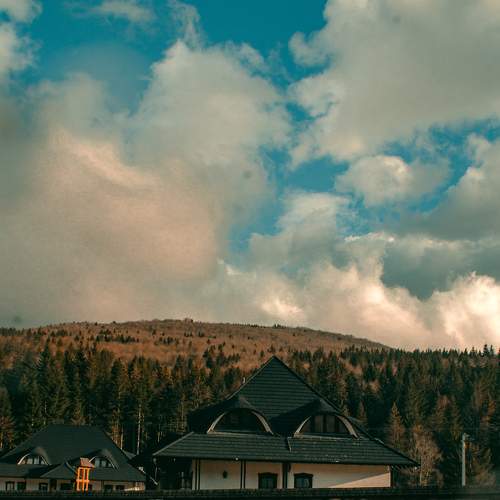 Photo #9084501