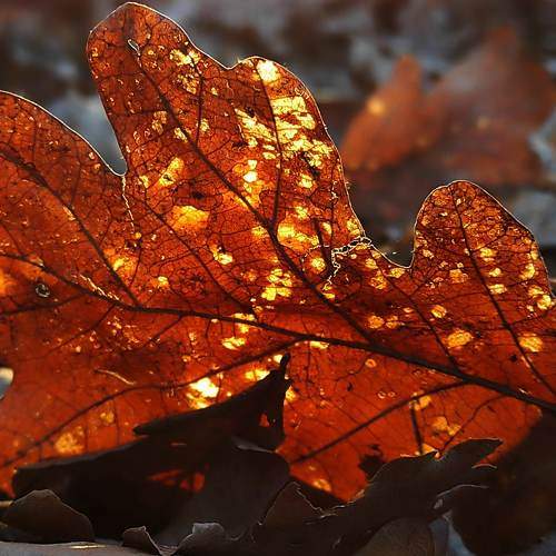 Photo #9085094