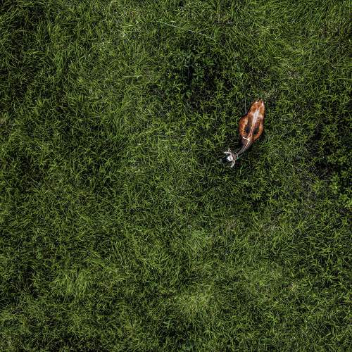 Photo #9085114