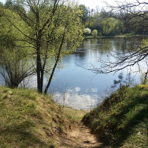 Photo #9085893