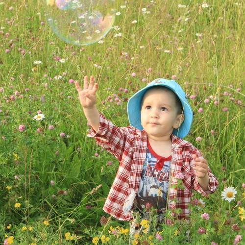 Photo #9086050