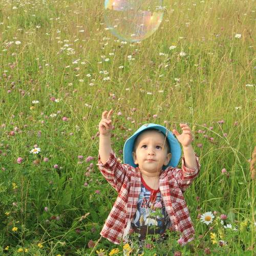 Photo #9086051