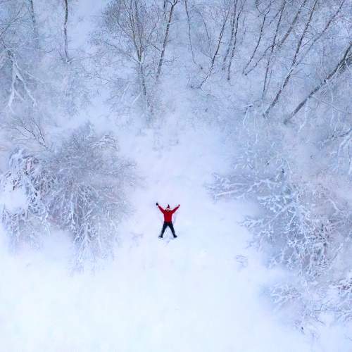 Photo #9086237