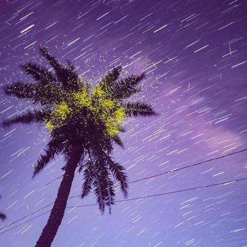 Photo #9086363