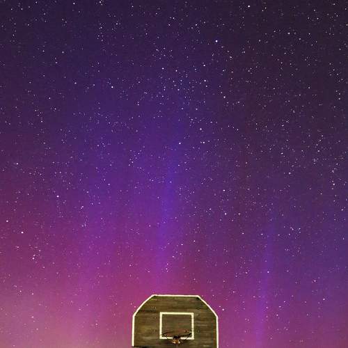 Photo #9086584