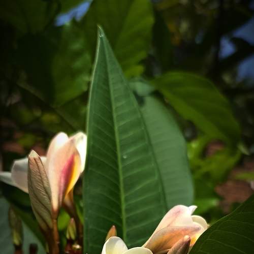 Photo #9086740