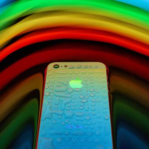Photo #9088171