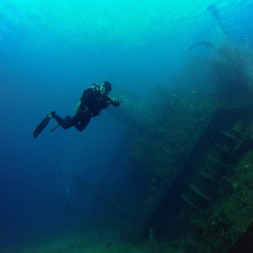 Photo #9088554