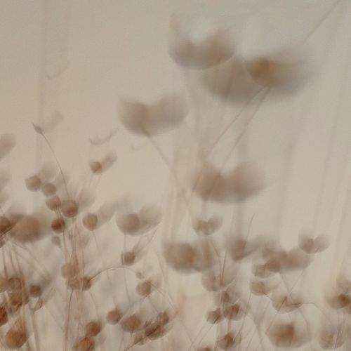 Photo #9089538