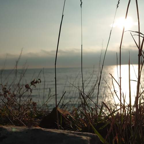 Photo #9089641