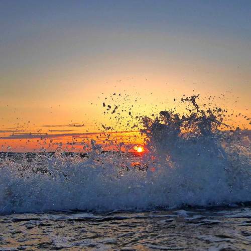 Photo #9090657