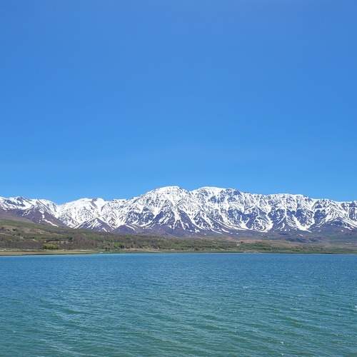 Photo #9091226