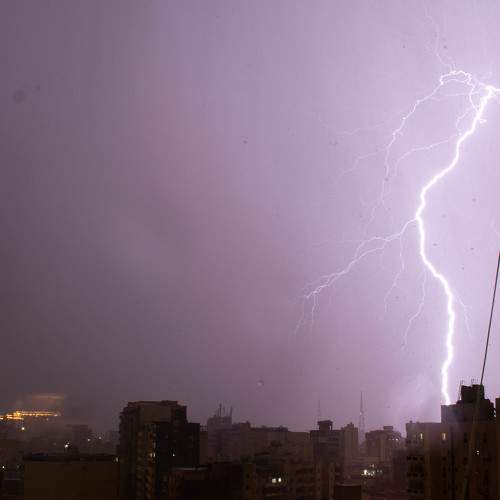 Photo #9091480