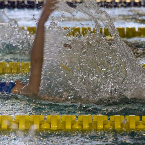 Photo #9091517