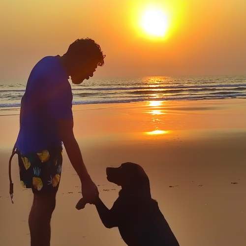 Photo #9092170