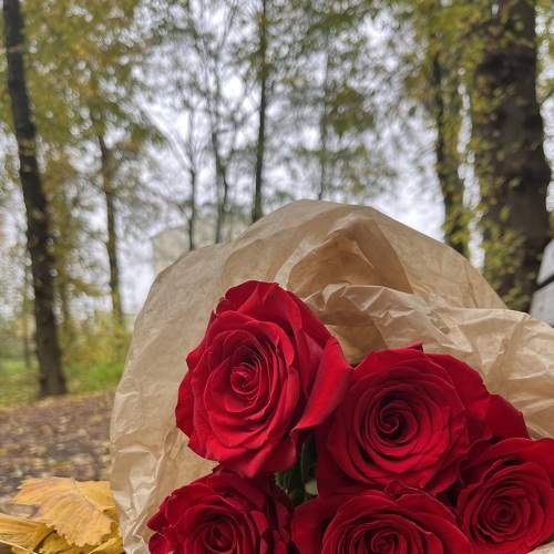 Photo #9092809