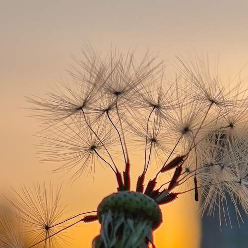Photo #9093013
