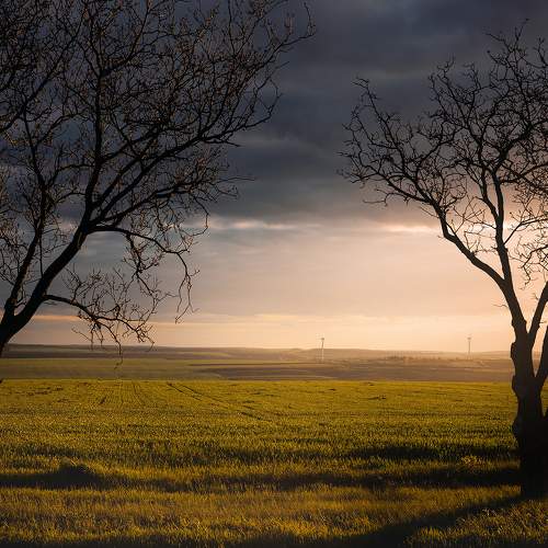 Фотография #9093669