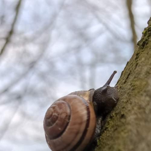 Photo #9093740