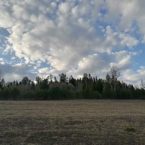 Photo #9094421