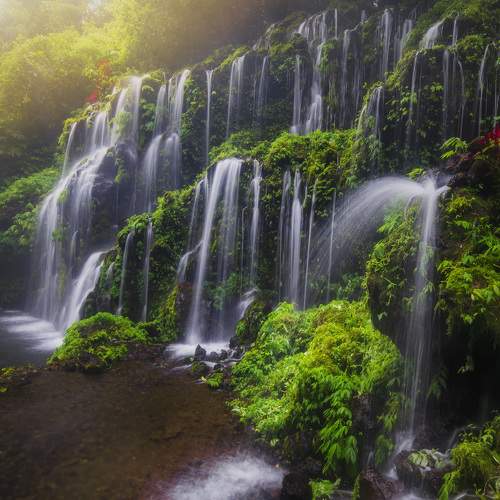 Photo #9094971