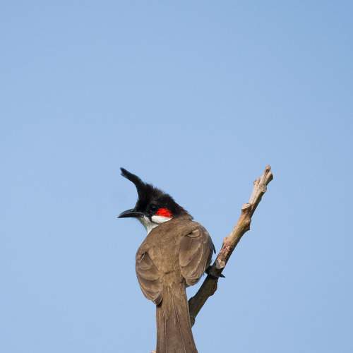 Photo #9095064