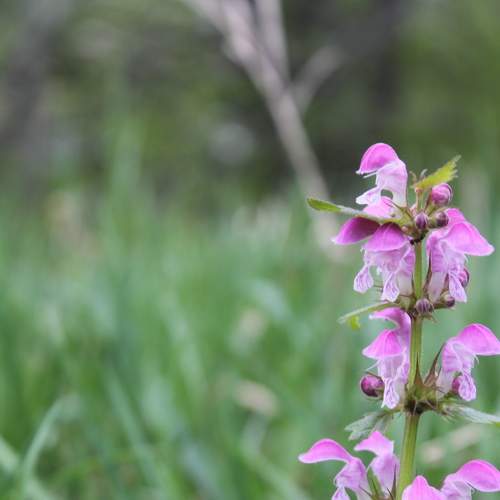 Photo #9097241