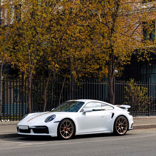 Photo #9097298