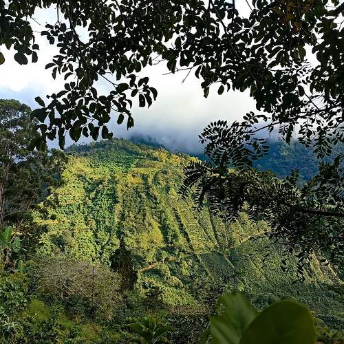 Photo #9097561